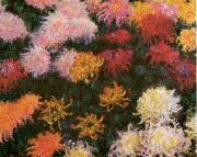 Claude Monet Chrysanthemums  sd